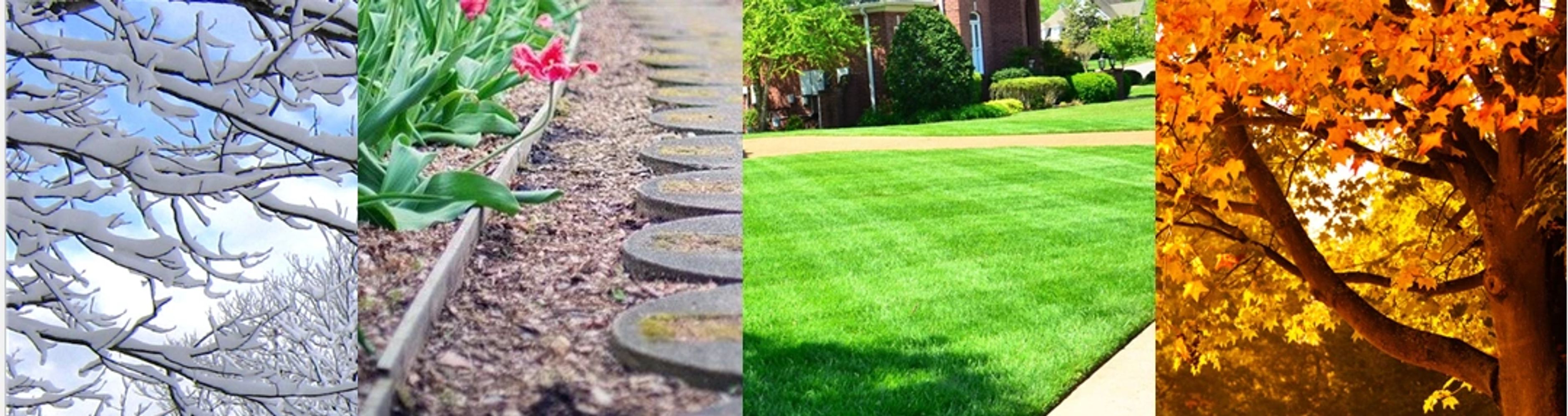 Scott Seasonal Services